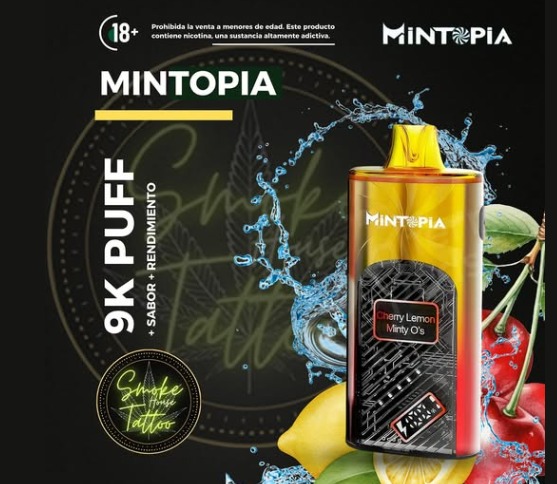 Vape Mintopia Turbo 9000 Puff Ref: 22095247
