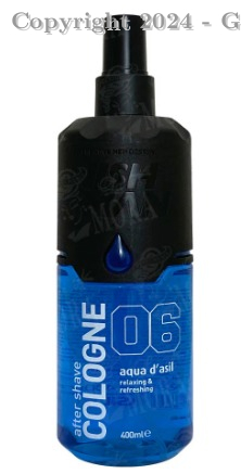 After Shave Aqua 06 400 Ml Nishman Ref: B1480