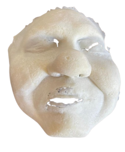 Facial Fiona Ref: Fna